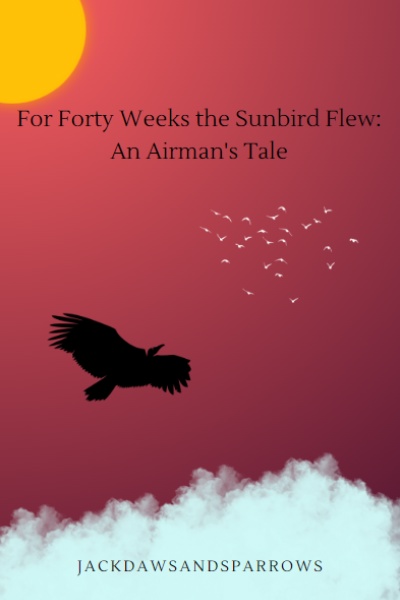 For Forty Weeks the Sunbird Flew: An Airman's Tale