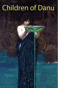 Children of Danu, People of Skill Book 1. (LitRPG/Gamelit)