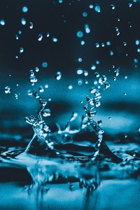 The Magic Of Mermaids