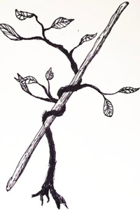 Mages of Temberlon: Growing Shadows