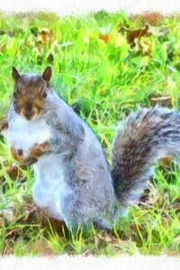 The Possessor's Path: From Cute Squirrel to Mighty Dragon