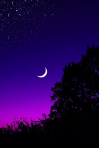 Discovering a new world!