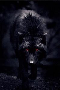 The Rise Of A Matriarch