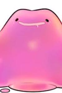 My neighbor is a ditto