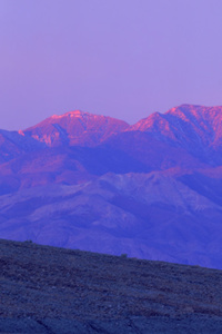 The Crystal-Eyed Scholar