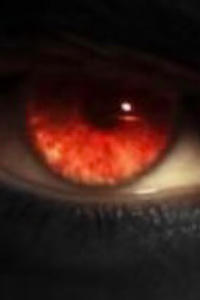 [French] Le démon de la nuit