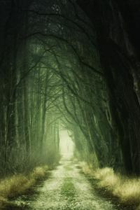 I Was Sent To Another World But I Ended Up As An NPC