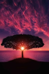 An Ent-Like Existence