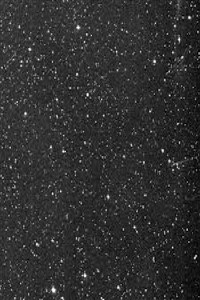 The Confused Explorer