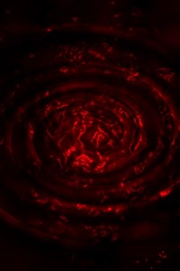 Survive - Terror Infinity Fanfic (0.5 rating spammed version~)