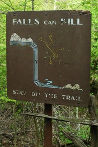 Too Old to Die Young