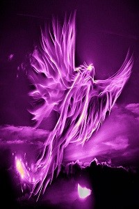 Amethyst Phoenix
