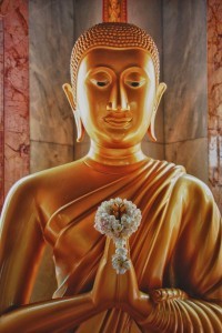 My Path to Goodness, Led me to you