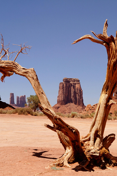 A Fistful of Bullets