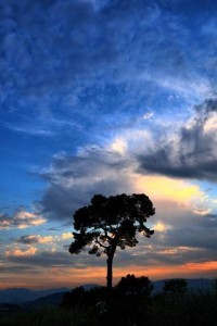 The Breath of Creation [DROPPED]