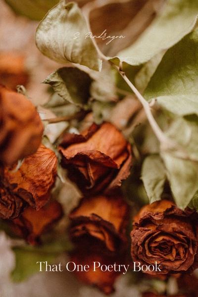 That One Poetry Book