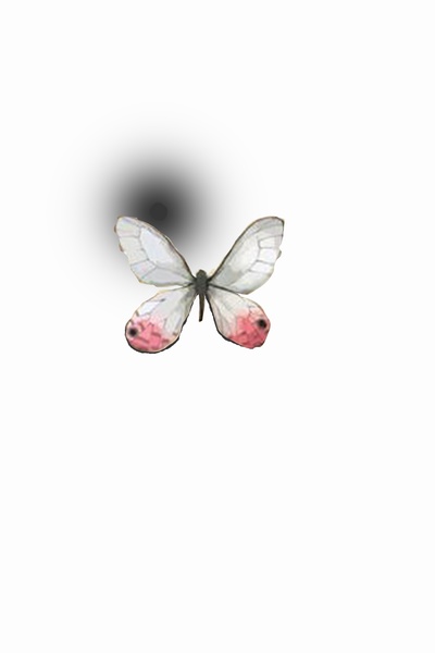 The Butterfly of Night City